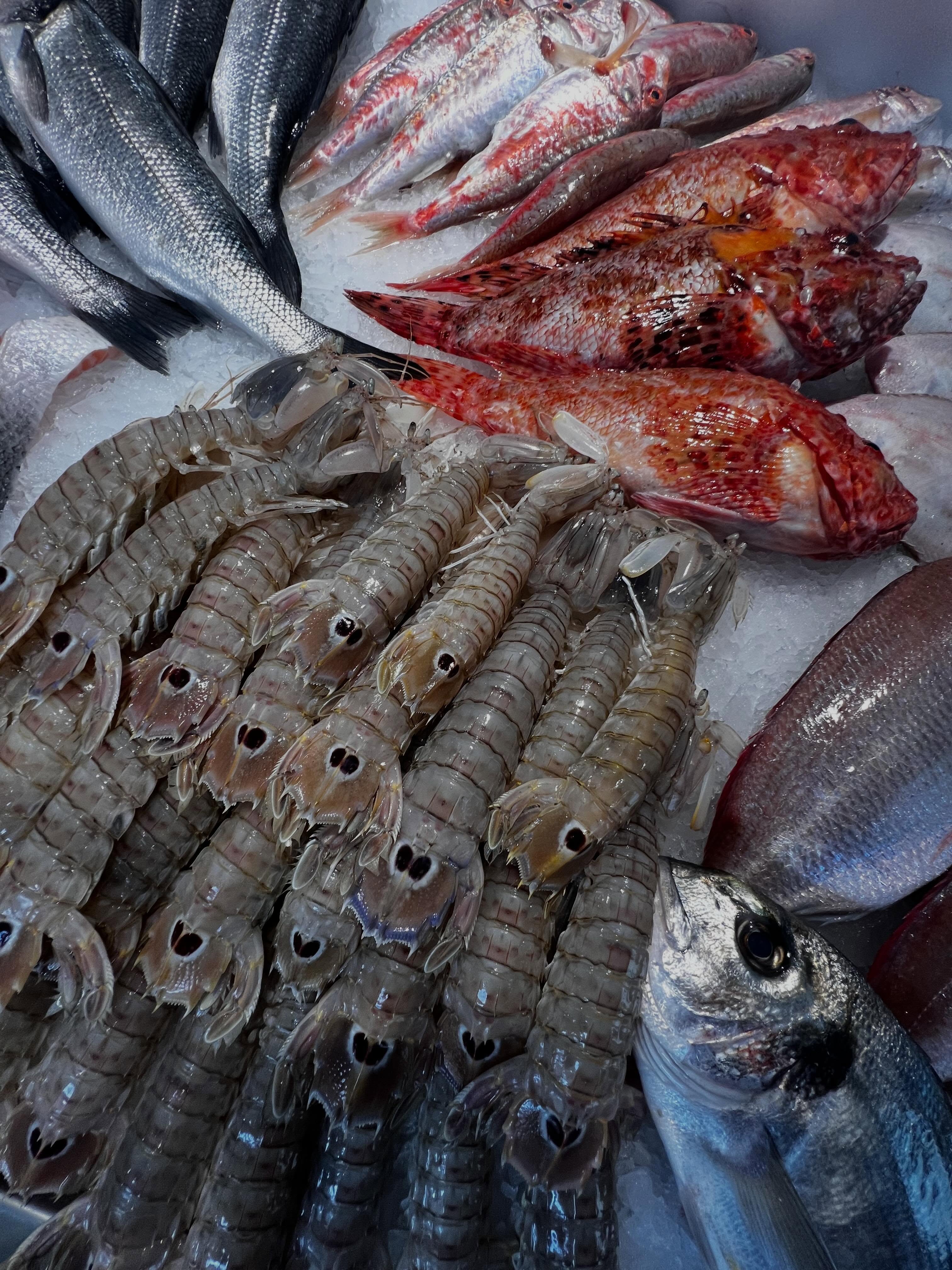Pescato fresco